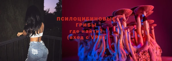 ешки Алзамай