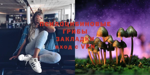 героин Алексин