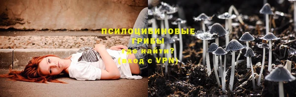 ешки Алзамай