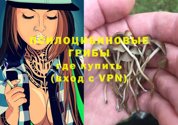 героин Алексин