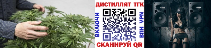 Дистиллят ТГК концентрат  даркнет какой сайт  Андреаполь 